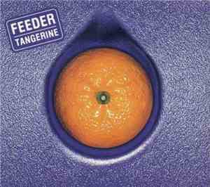 Feeder - Tangerine