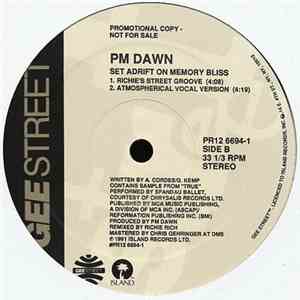PM Dawn - A Watcher's Point Of View (Don't 'Cha Think) / Set Adrift On Memory Bliss