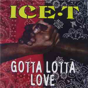 Ice-T - Gotta Lotta Love