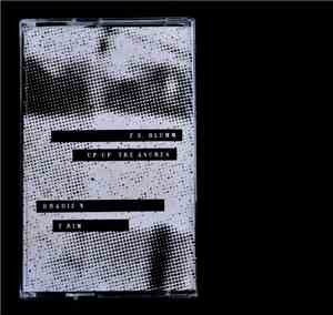 F.S. Blumm + Bradien - Up Up Treasures | Trim