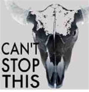 Rennie Pilgrem - Can't Stop This