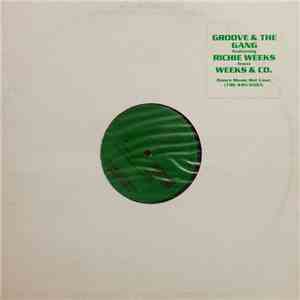 Groove And The Gang 1996 Featuring Richie Weeks - Tonight It's Party Time