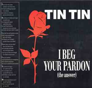 Tin Tin  - I Beg Your Pardon (The Answer)